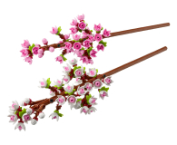 LEGO BOTANICALS 40725 Kwiaty wiśni - 1473436 - zdjęcie 2